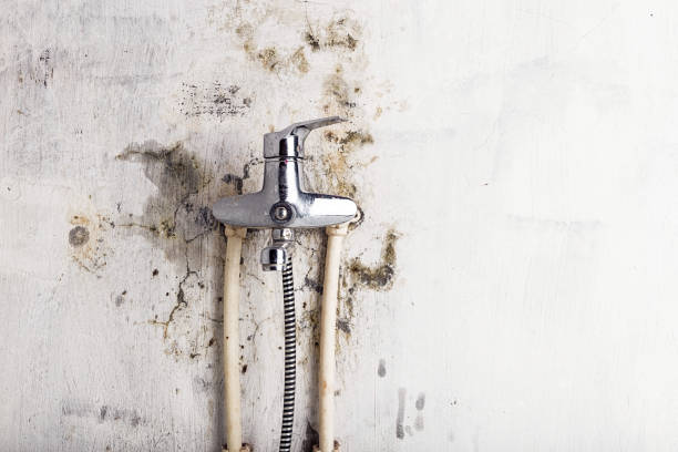 Best Commercial Mold Removal  in Monterey, CA