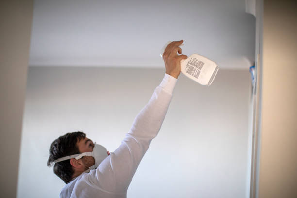 Office Mold Removal Services in Monterey, CA