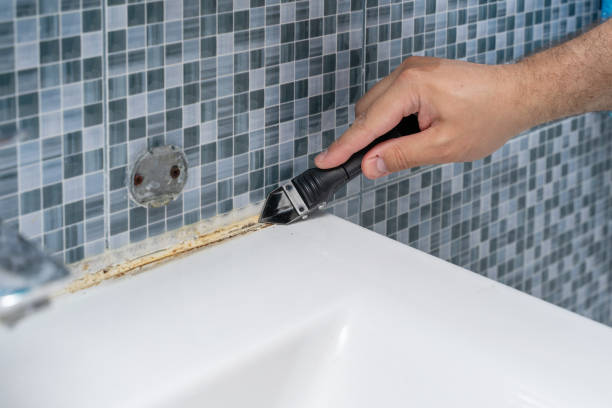 Best Mold Removal Near Me  in Monterey, CA