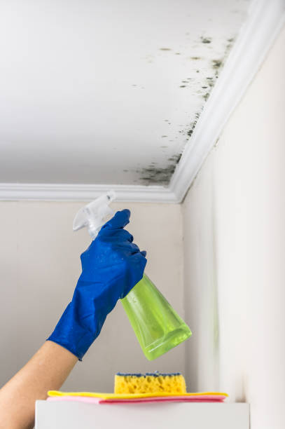Best Emergency Mold Removal  in Monterey, CA